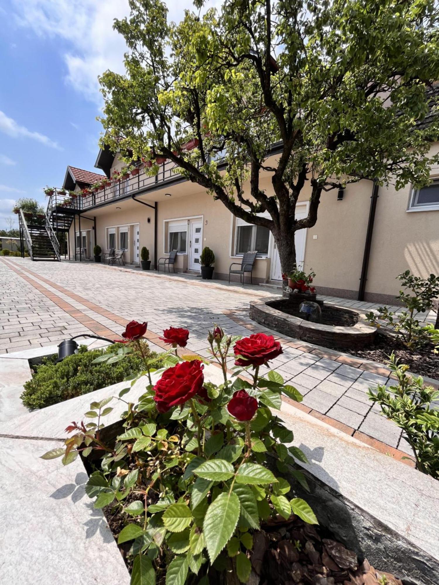 Kovac Residence ズレニャニン エクステリア 写真